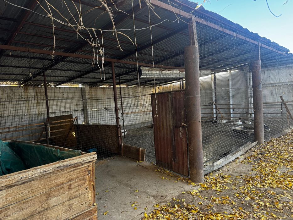 Продам дом с базой в жаркенте
