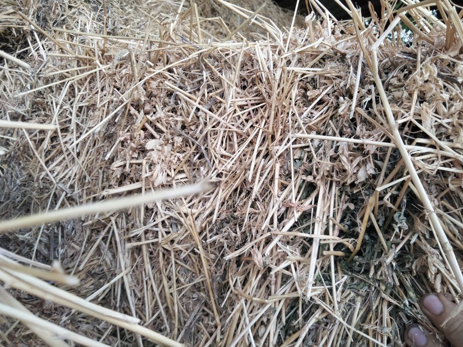 Vând baloți paiesi fân