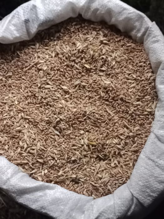 Продам зерноотходы.
