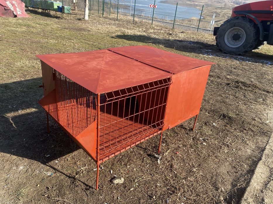 Vand cusca pentru iepuri