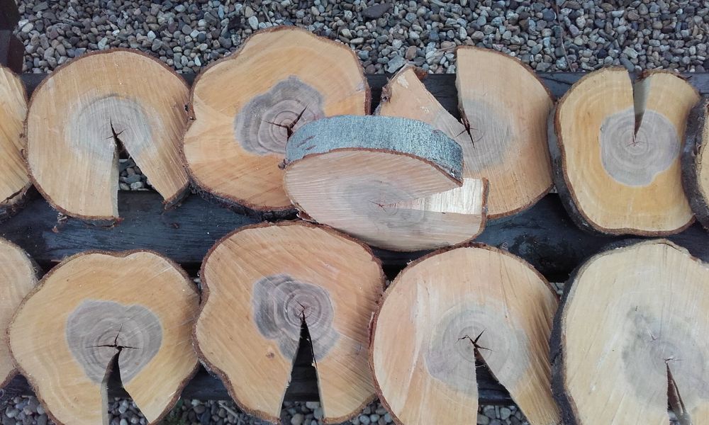 Felii lemn decorațiuni