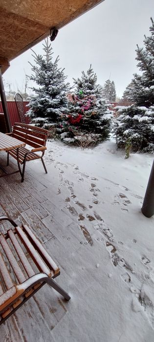 Сдам посуточно коттедж