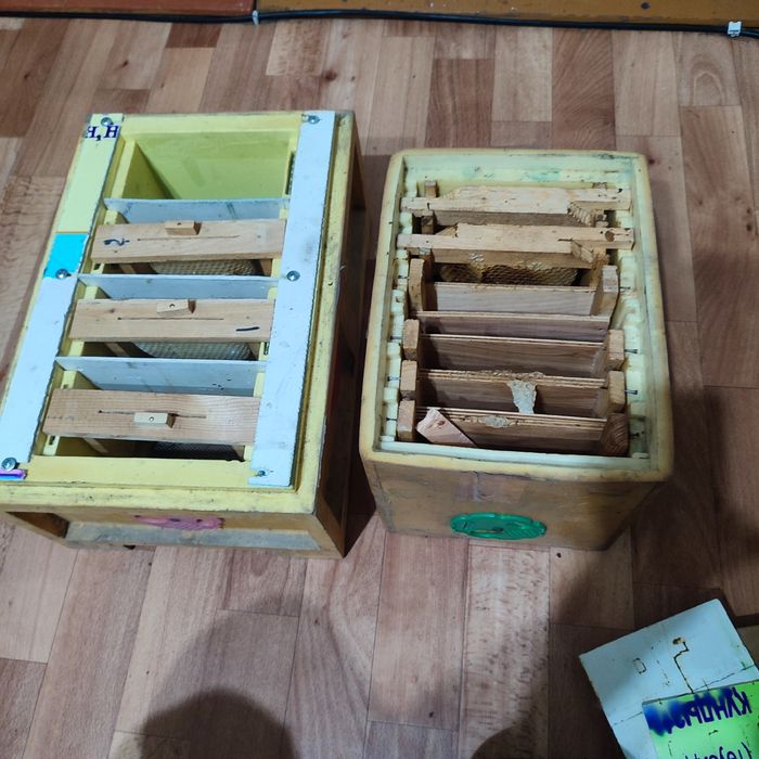 Пчеловодства , Алматы