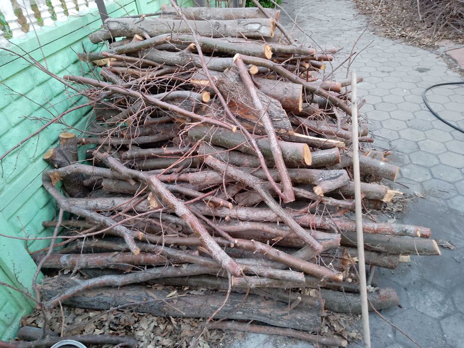 спил дуба, дрова