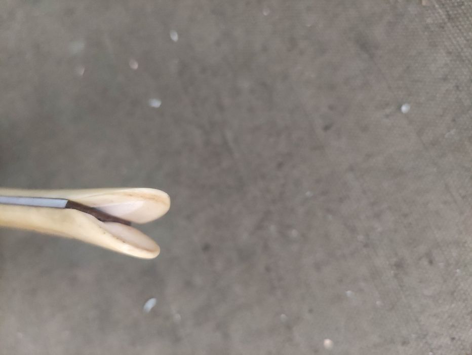 Продавам ножче с кания и рогова дръжка