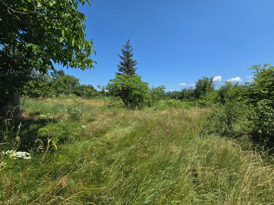 Парцел в село Церова кория