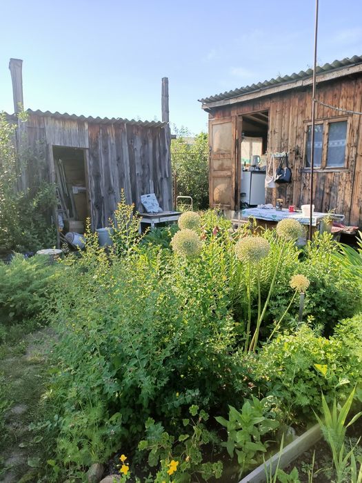 Дачный участок. С/о Самоцветы