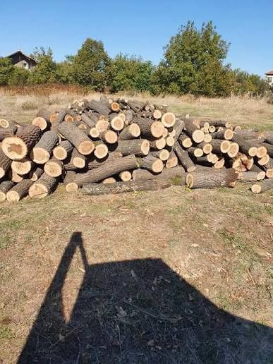 Vând lemne de foc  – Calitate bună, transport inclus