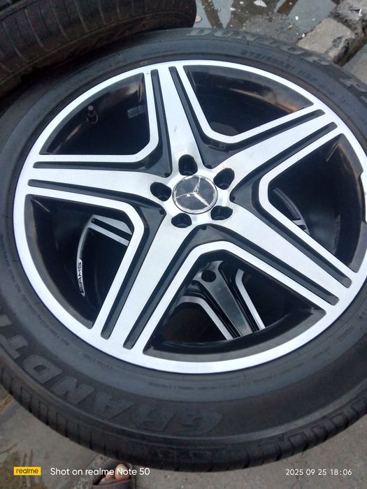 R21 arginal mers diska balon