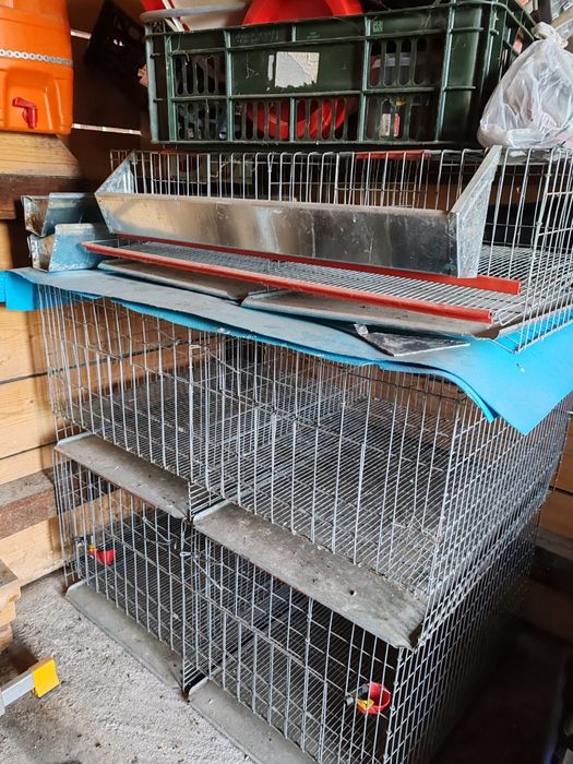Cușcă pui,prepelițe
