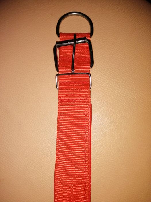 Ошейник для собаки