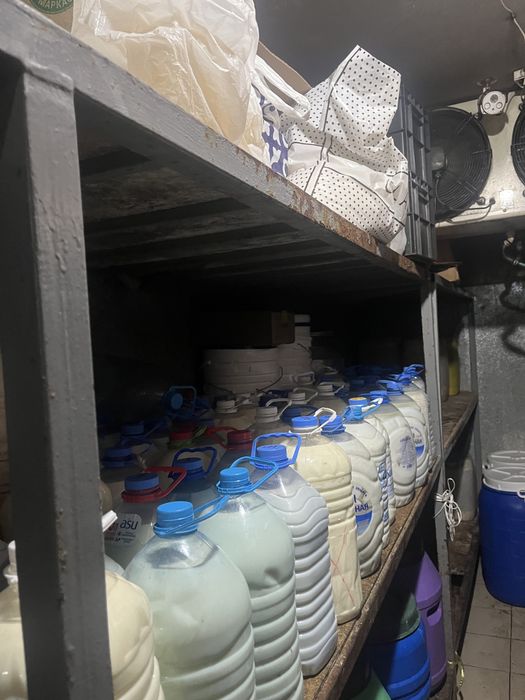 Кымыз 500 Шубат 500