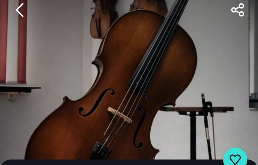 ВЕЛОНЧЕЛЬ 4/4для взрослых