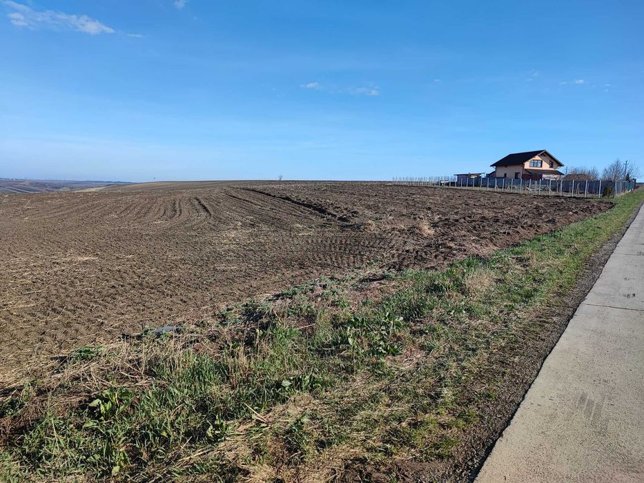 Rediu Horlesti 7840 mp des Soseaua  DJ 248b Vand-Inchiriez parcelabil