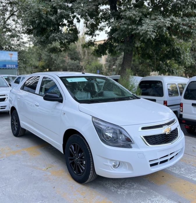 **‼️Cobalt xamma pozitsiya bor‼️masla