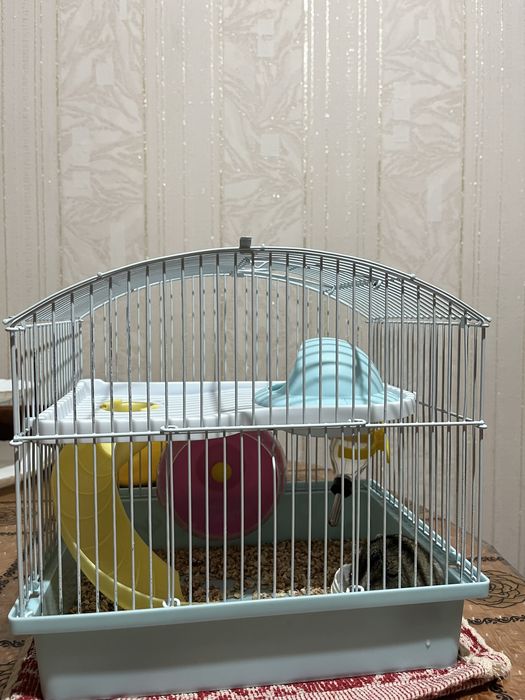 Джунгарик в хорошие руки