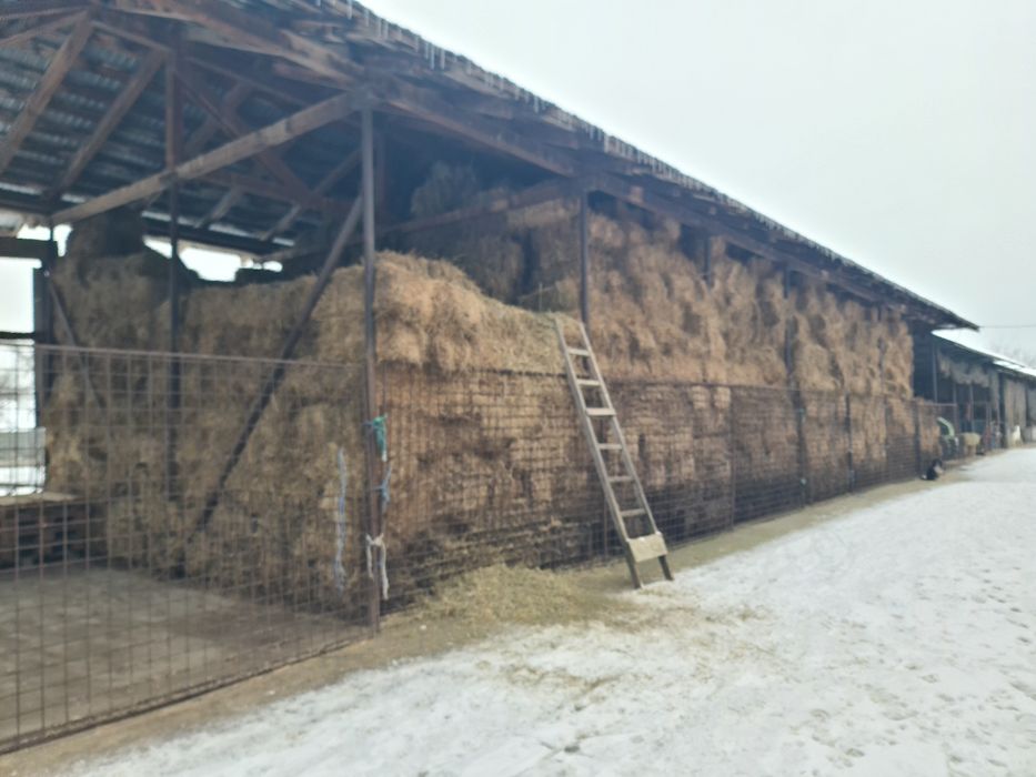 Vind baloti de lucerna