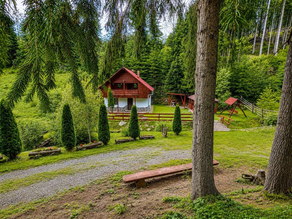 Cabana cu ciubar la munte