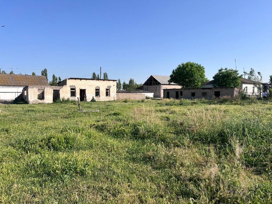 Участка 30 сотих. Кадастри бор