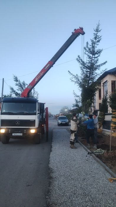 манипулятор доставка груза