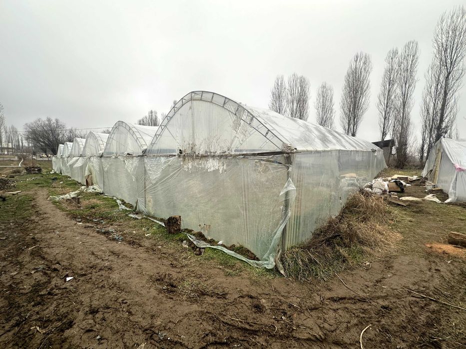 Yangiyo'l tumani M39 betonkani yoni 24 sotix