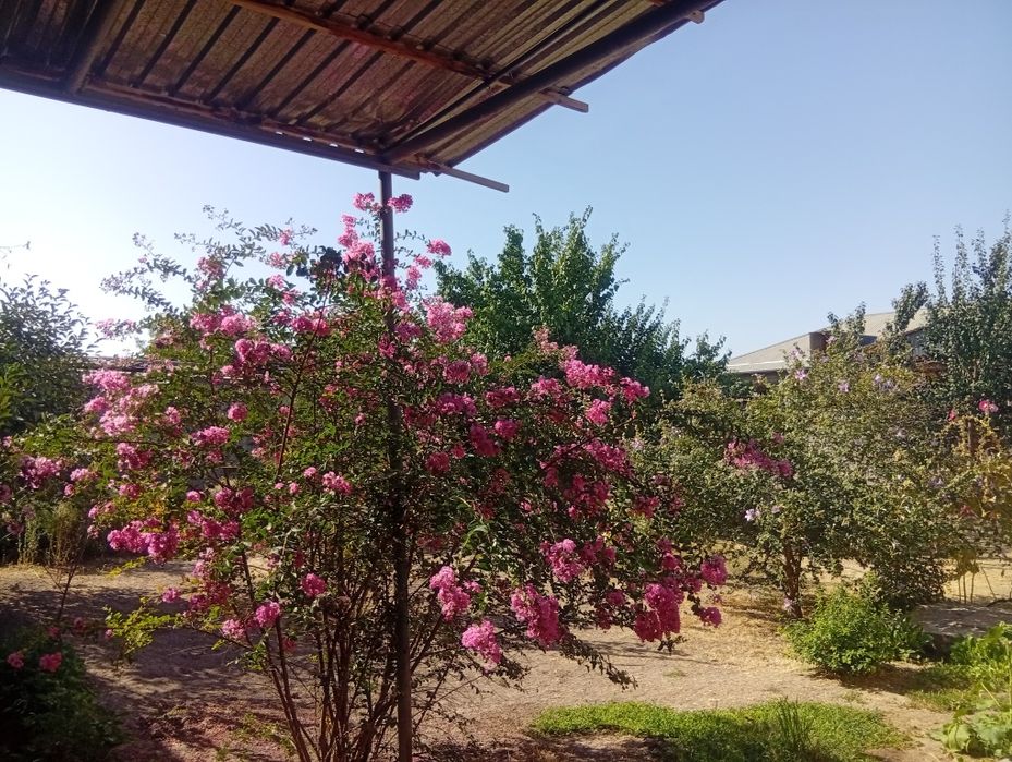 Срочно ер сотилади. 3 сотих