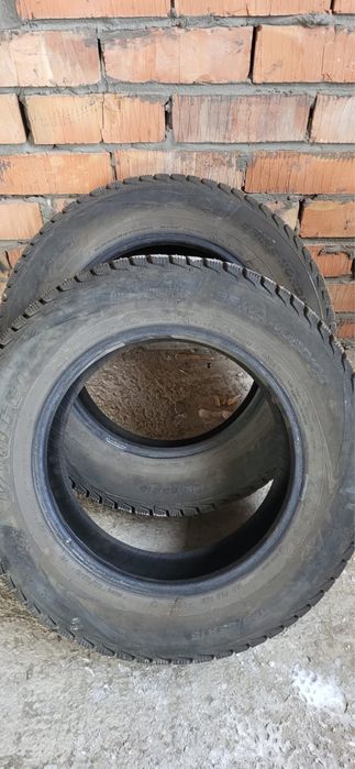 Қыстық  донгелек