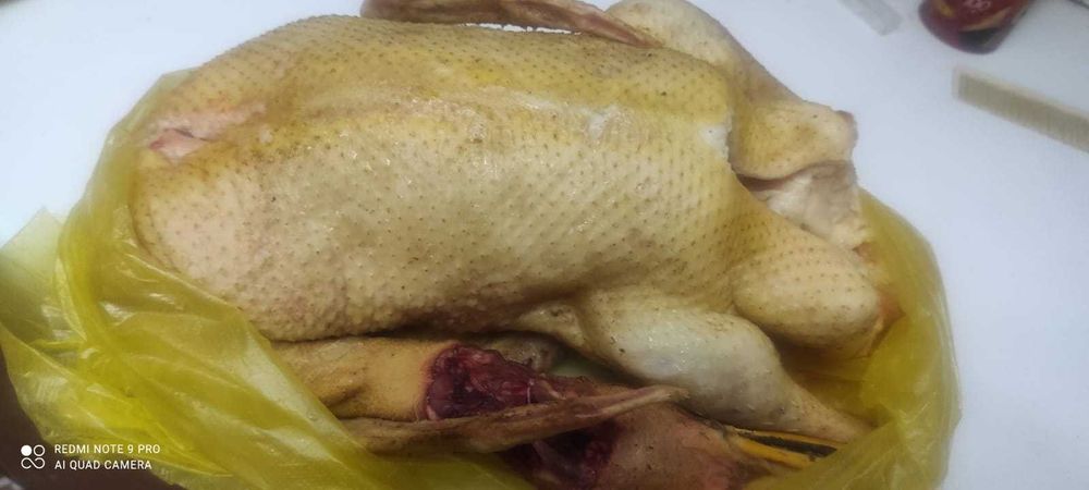 продаются гуси, утки, индюки, куры, кролики