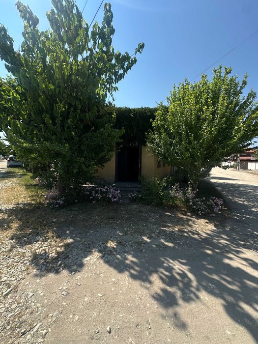 Дава се под наем Магазин в с. Скутаре, Област Пловдив - 29 кв.м за 306 € - Снимка #6