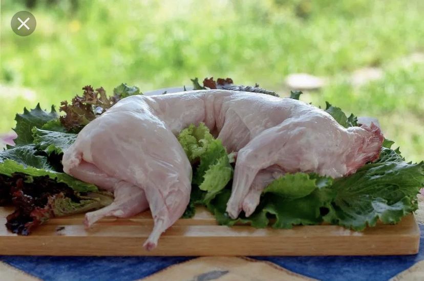 Продам мясо кролика