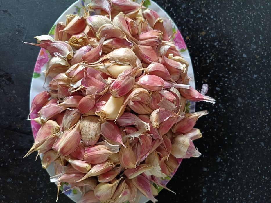 Чеснок          .