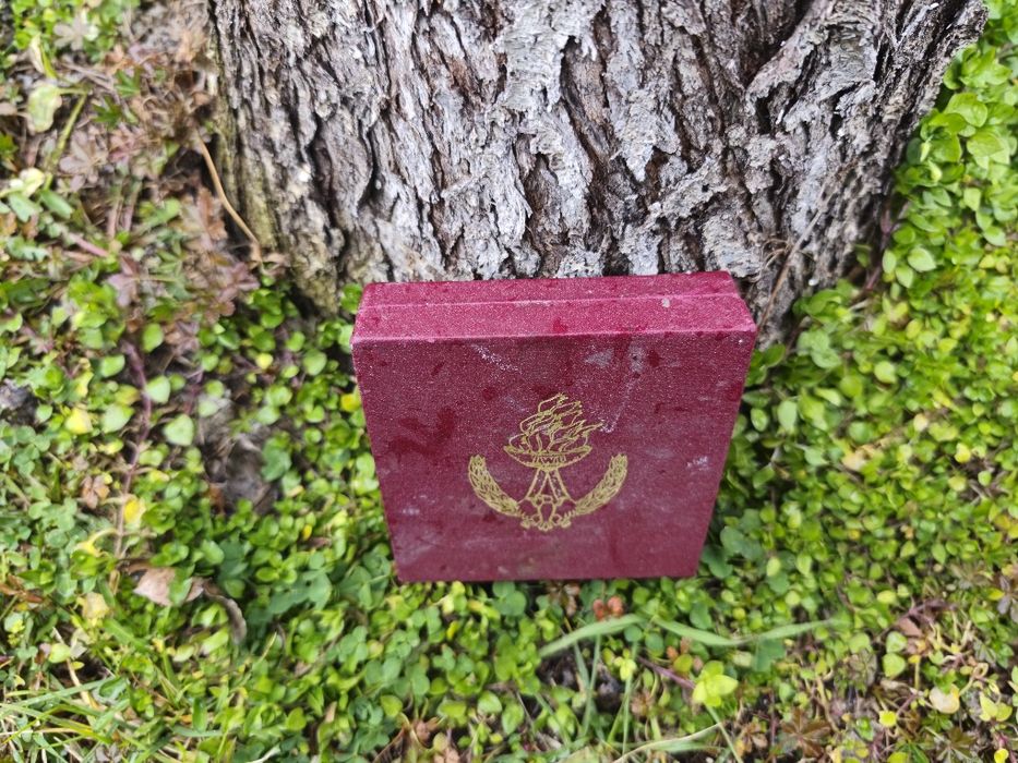 полски възпоменателен медал, значка на Спортния комитет на армията