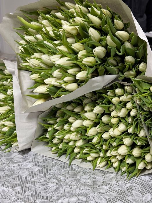 Тюльпан оптом ДЕШЕВО