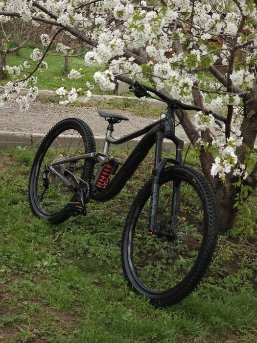 Giant Reign 2/2023 M