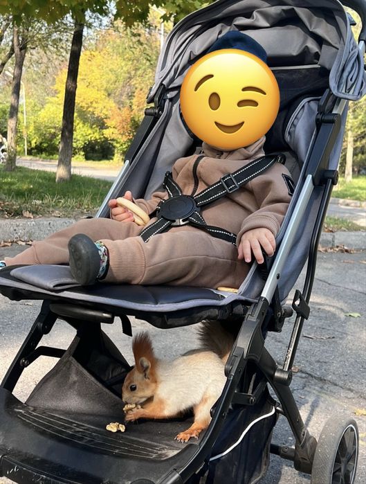 2 Коляски и трехколесный велосипед