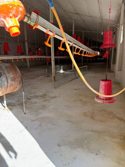 Птицафабрика сотилади 2.35 гектар