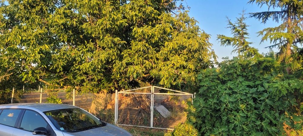 Продава се Къща в с. Равнец, Област Бургас - 1125 кв.м за 75 €/кв.м - Снимка #5