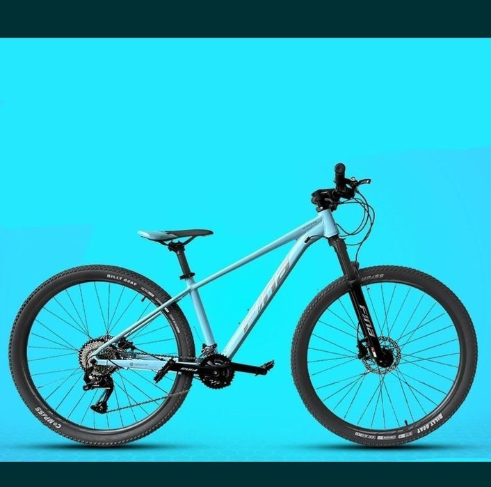 Fina 19 Original Velosiped.