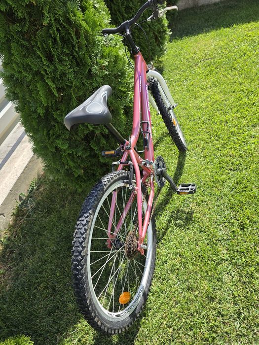 Bicicleta Adria Moon 24"