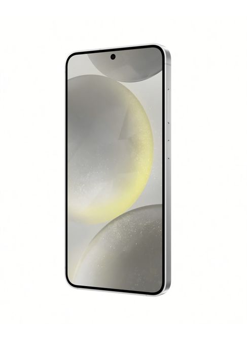 Samsung S24+ Plus / Marble Gray / 256 GB / DeluxGSM