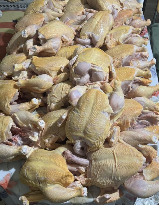 Pui albi de carne sacrificati