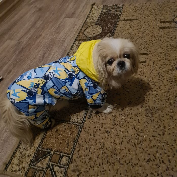 Курточка новая тёплая для собаки