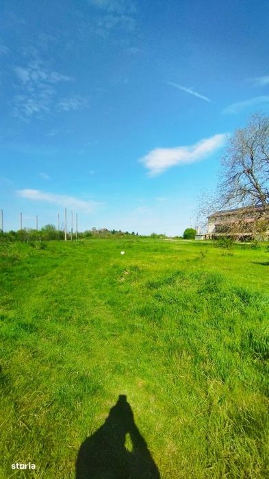 Teren intravilan de vânzare – Grădiștea, Ilfov, Aleea Primăriei