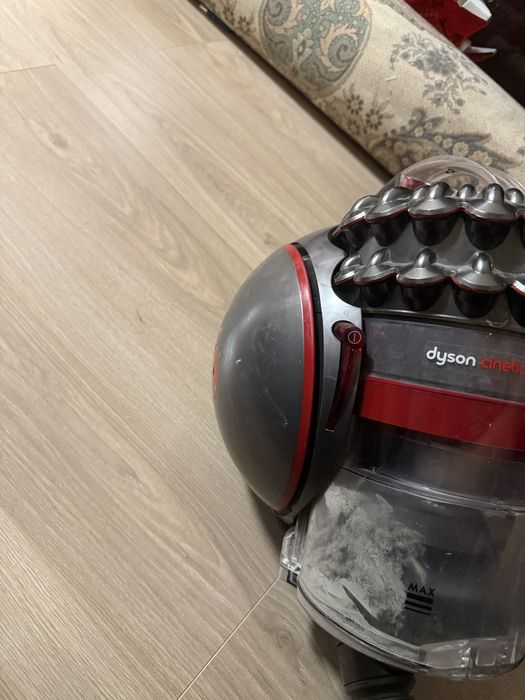 dyson big ball animal pro 2