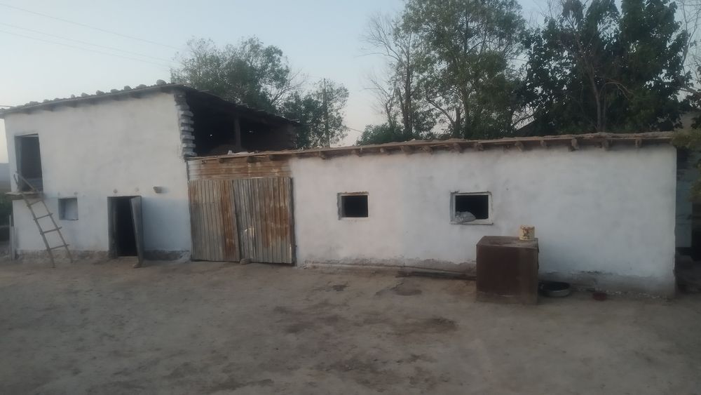 33сотохли 5хонали  уй 250млн сум сотилади! Музработ т Тонг юлдузи мфй