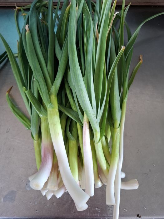 Vand ceapa si usturoi verde