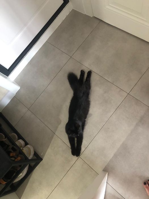 Отдам в хорошие руки