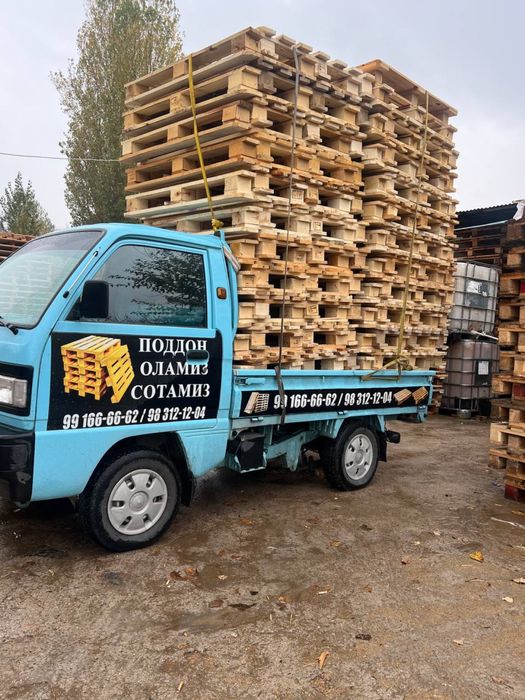 Паддон paddon sex