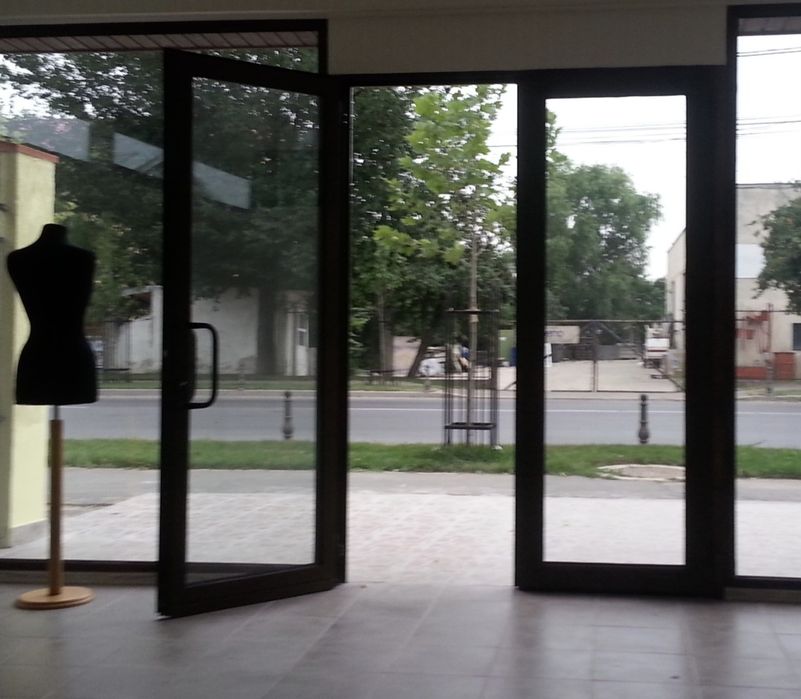 Ușă dubla  termopan mahon