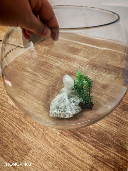 Аквариум жақсы жағдайда.